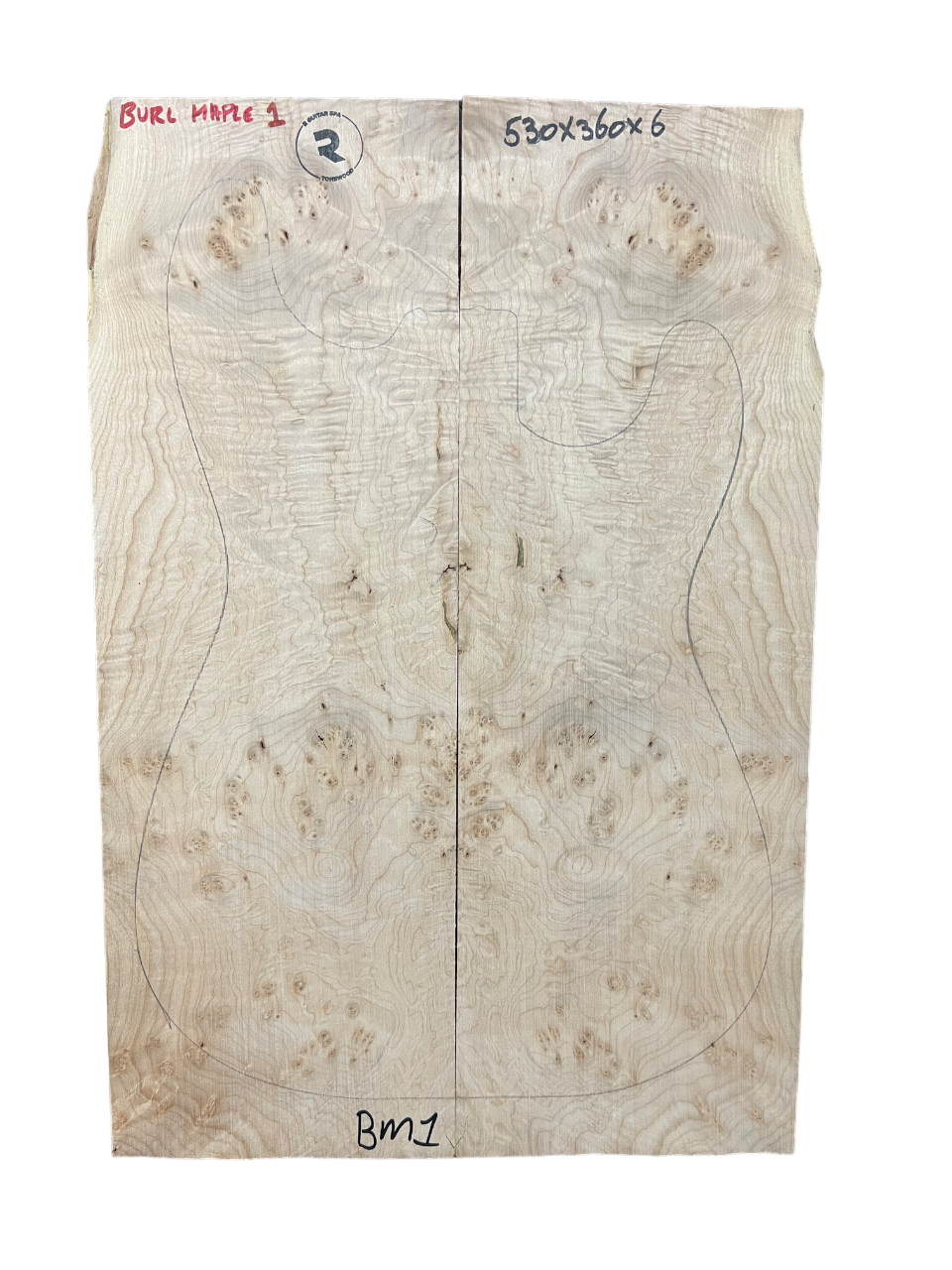 BURL MAPLE Nº1