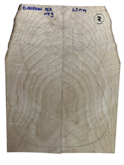 EUROPEAN ASH Nº9