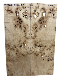 POPLAR BURL Nº1