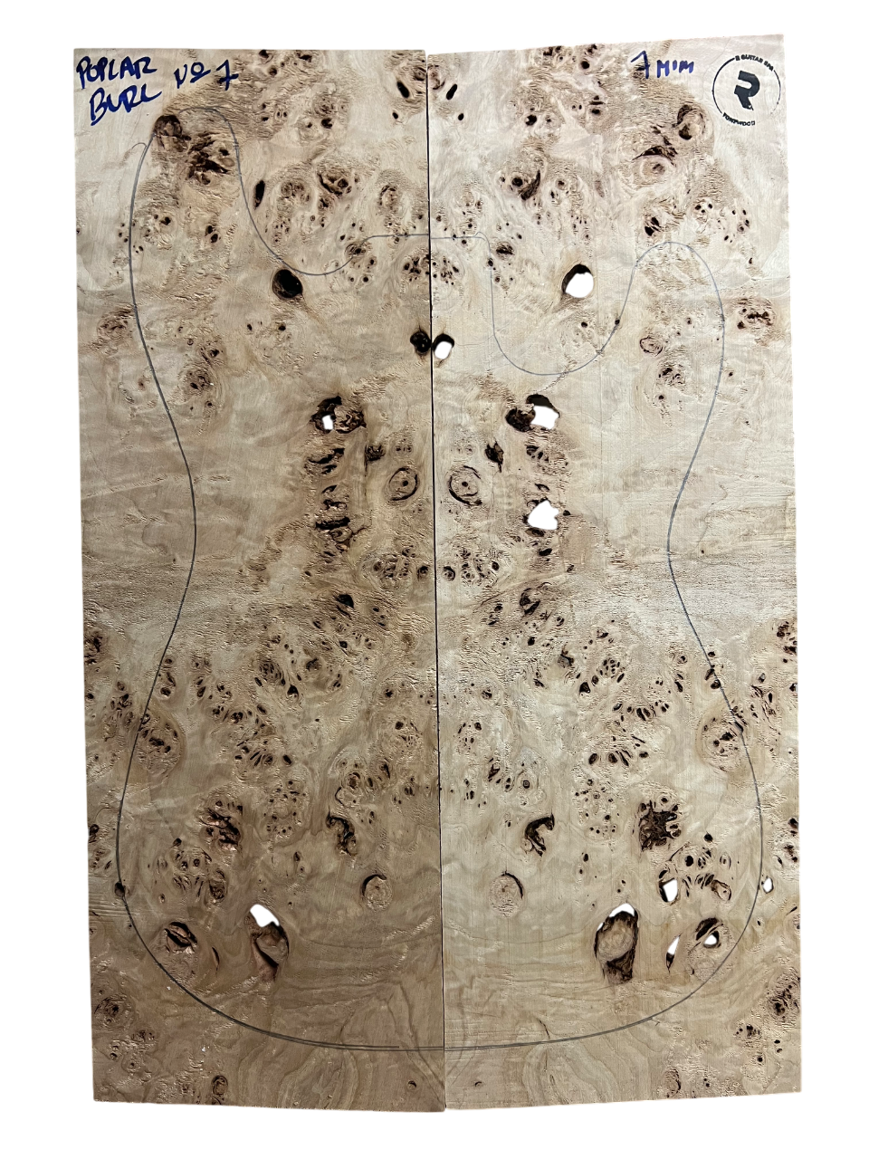 POPLAR BURL Nº7