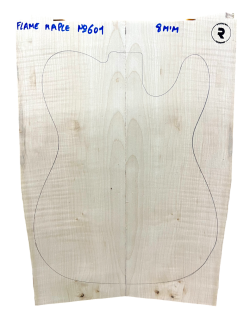 Flame Maple nº601
