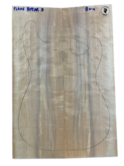 Flame Poplar nº3