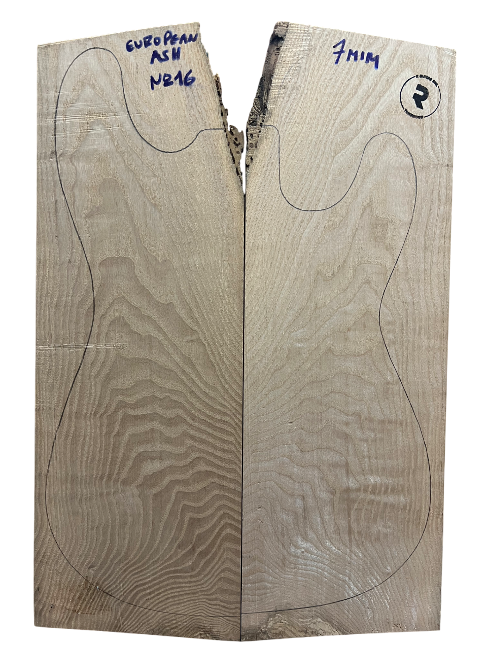 EUROPEAN ASH Nº16