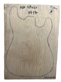 Ash 1 piece body blank nº17