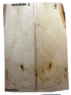 Flame Poplar nº1